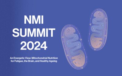 Event Summary – NMI Summit 2024